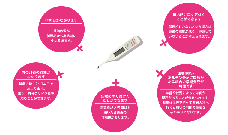 基礎体温でわかること