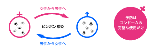ピンポン感染
